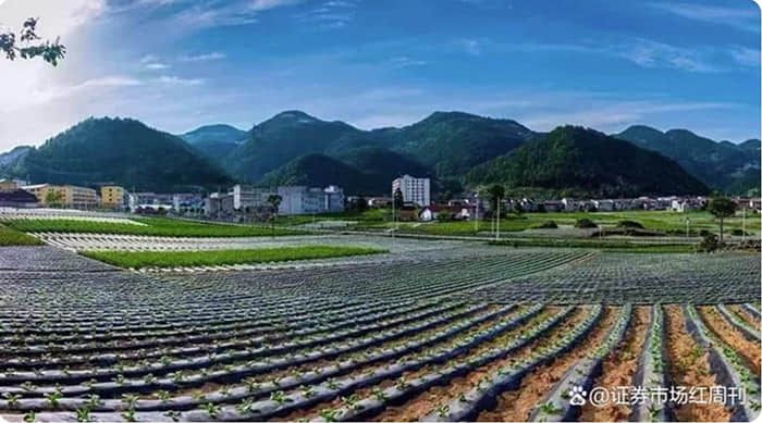 12月11日十大人气股：百花齐放之日